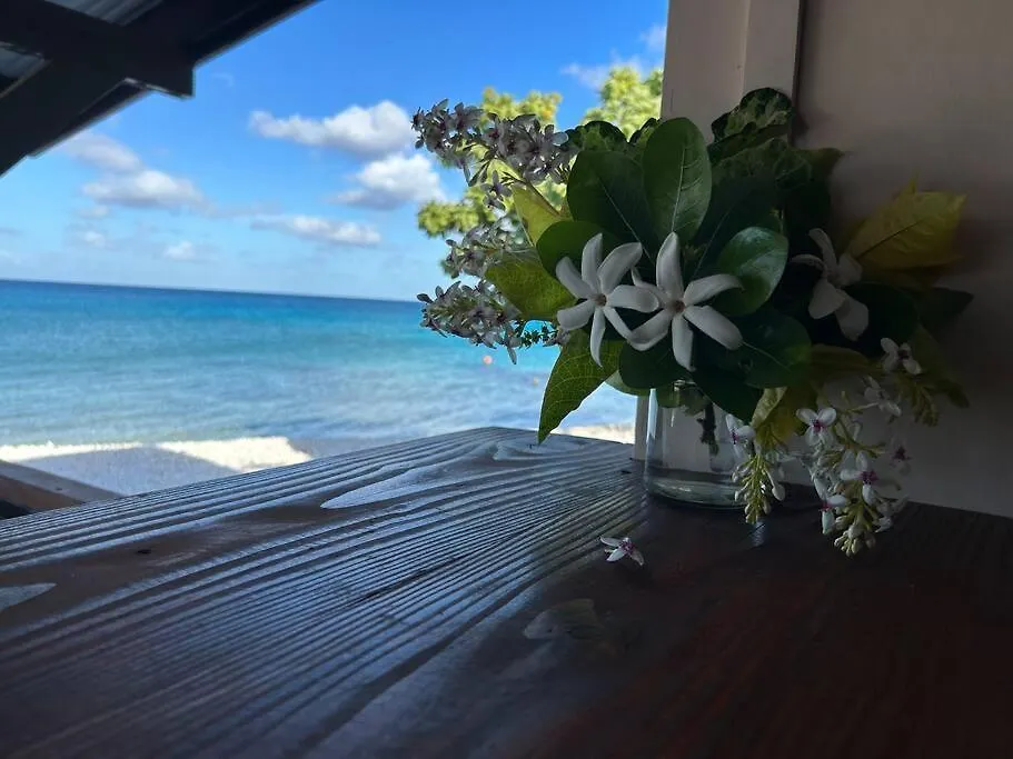 ゲストハウス ホテル Rangiroa Bliss Tiputa フランス領ポリネシア